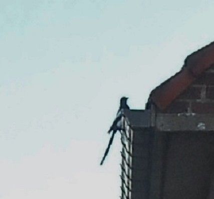 Sous le ciel bleu...